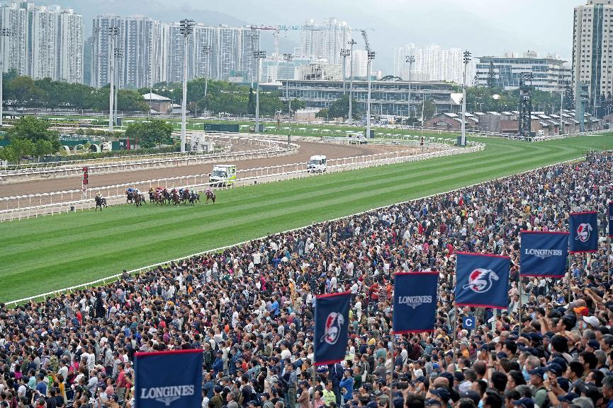 香港今晚开什么特马,香港今晚的开奖数字揭秘，探索未知的幸运之门