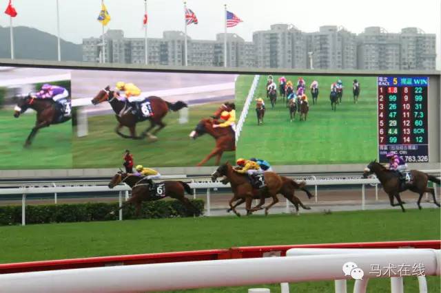 香港今晚开什么特马,香港今晚之星，探索未知的奇迹