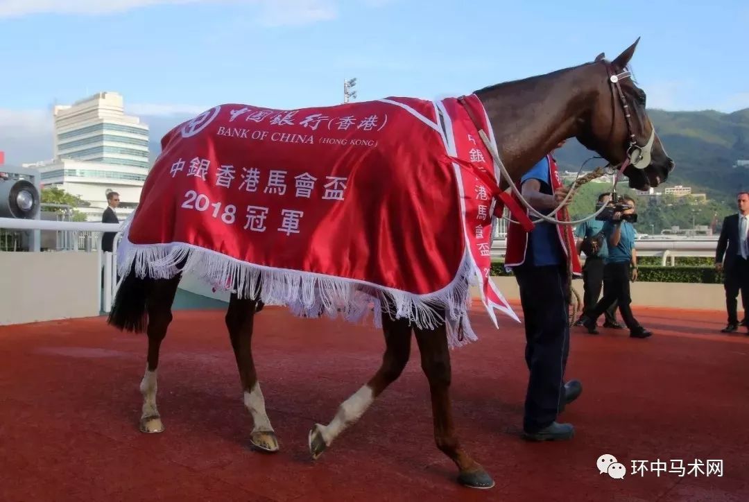 WW777766香港马会总纲诗的魅力与探索