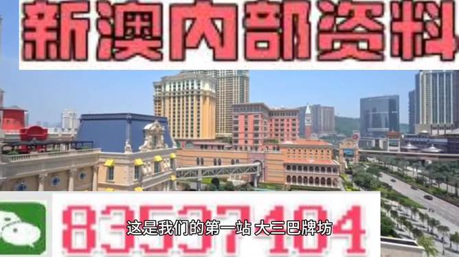 探索新澳门，2024天天彩的魅力与精准预测