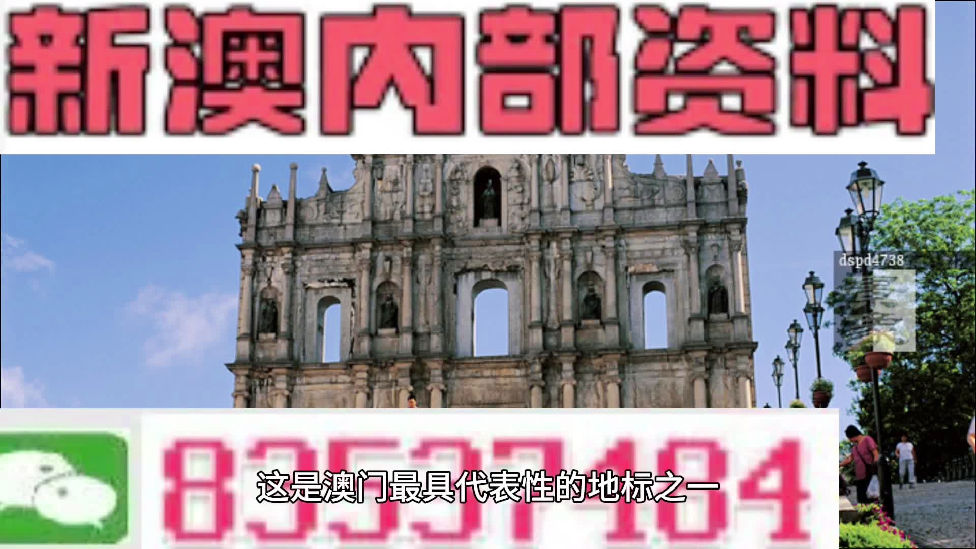 澳门最准的旅游资讯免费公开，探索魅力之旅的绝佳指南