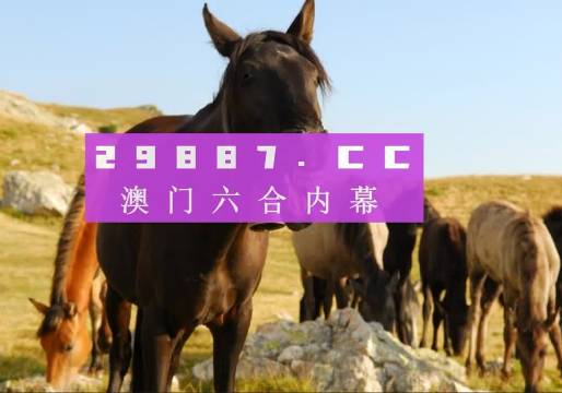 探索未来，管家婆2024澳门免费资格背后的故事与启示